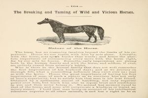 Ein Blatt Papier mit einer Zeichnung eines stehenden Pferdes mit einem wilden Ausdruck, neben fettem Text, der "Das Brechen und Zähmen von wilden und bösen Pferden" lautet.