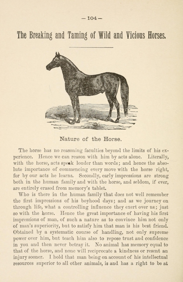 Ein Blatt Papier mit einer Zeichnung eines stehenden Pferdes mit einem wilden Ausdruck, neben fettem Text, der "Das Brechen und Zähmen von wilden und bösen Pferden" lautet.
