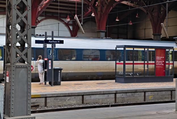 Ein Zug fährt auf einem Bahnsteig vor, auf dem eine Person steht, mit einem Müllcontainer, Pfosten, Informationsanzeigen und Deckenleuchten im Hintergrund.