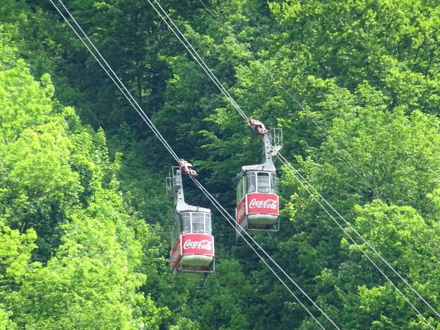 Zwei Seilbahnen fahren einen Berg hinauf mit Bäumen im Hintergrund, die Bahnen zeigen Text.