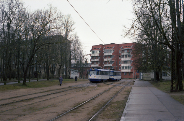 Eine blaue und weiße Straßenbahn fährt auf Schienen neben hohen Gebäuden, mit Fußgängern auf einem nahen Weg und Bäumen, die die Schienen flankieren, unter einem sichtbaren Himmel.