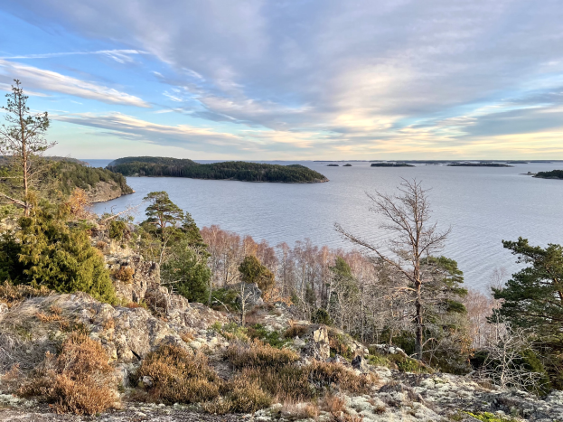 Ein Panoramablick von einem Hügel auf einen See, mit Bäumen, Pflanzen und Felsen im Vordergrund und einem bewölkten Himmel im Hintergrund.