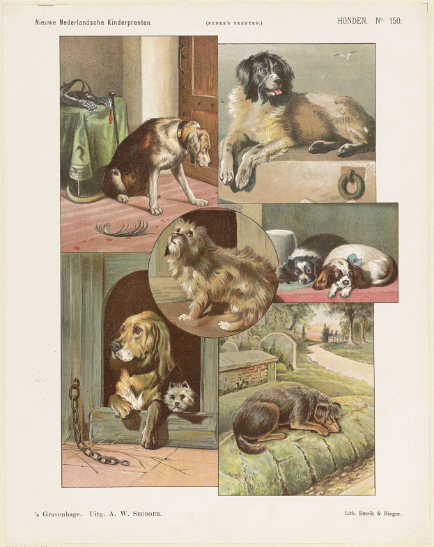 Ein Bild aus einem Buch mit verschiedenen Hunderassen und begleitendem Text.