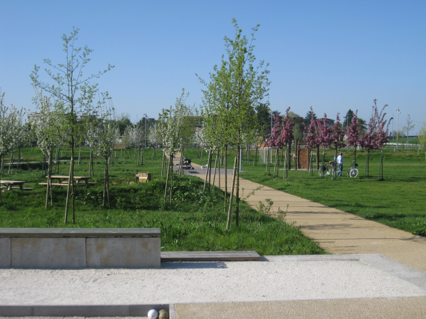 Ein Park mit einem gewundenen Pfad, gesäumt von Bäumen und Bänken, Menschen auf Fahrrädern, Gebäude im Hintergrund und ein klarer blauer Himmel über saftig grünem Gras.