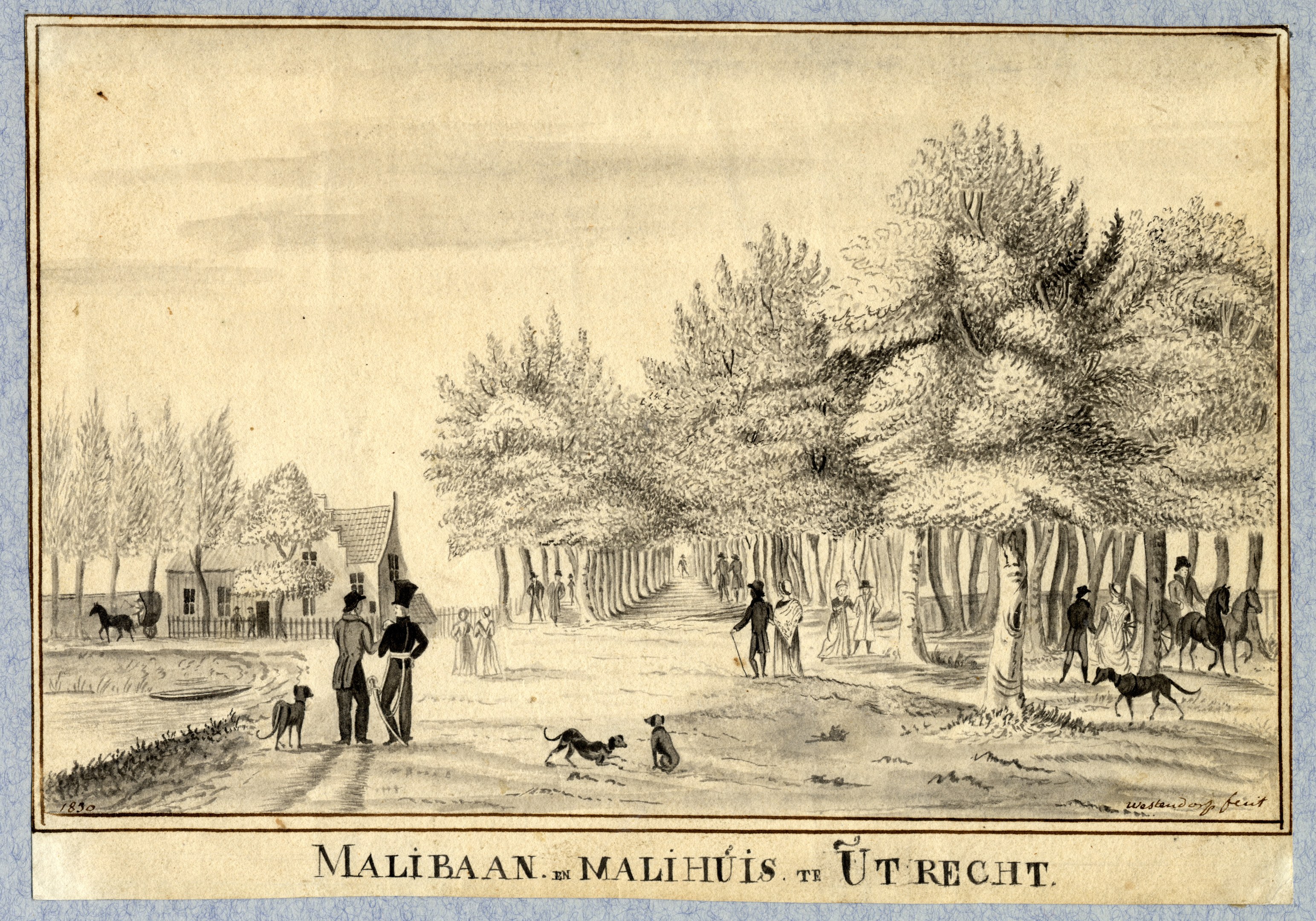 Eine Zeichnung eines Parks mit Menschen, die Hunde ausführen, Bäume, Häuser und Text unten.