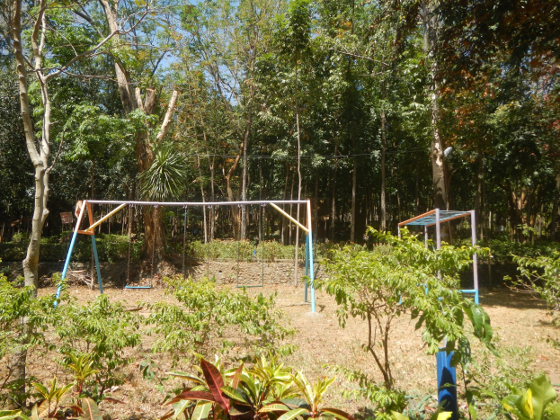Schaukelanlage im waldigen Gebiet mit grünen Pflanzen und Bäumen unter einem klaren blauen Himmel.