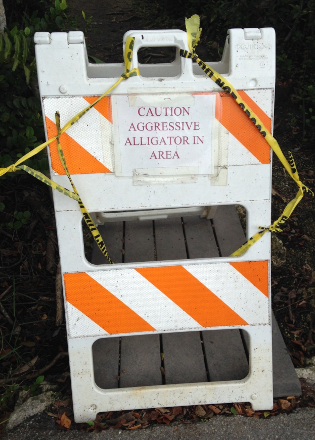 Weißes und oranges Warnschild mit Absperrband drumherum, neben einer Straße mit Pflanzen im Hintergrund.
