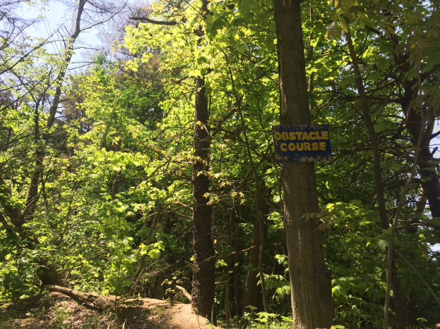Ein Schotterweg in einem bewaldeten Gebiet, der von einem Schild mit der Aufschrift 'Hindernislauf' markiert ist, umgeben von Bäumen auf beiden Seiten und einem sichtbaren Himmel im Hintergrund.