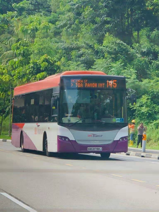 Ein lila und weißer Bus der SBS Transit fährt eine von Bäumen gesäumte Straße entlang mit ein paar Passagieren drinnen und zwei Menschen stehen auf dem Bürgersteig rechts.