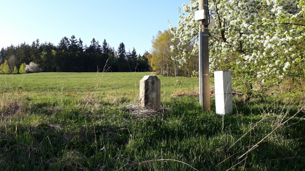 Ein grasbewachsener Platz mit einem zentralen Baum, umgeben von anderen Bäumen unter einem klaren blauen Himmel, mit einem Pfahl und zwei Betonblöcken im Vordergrund, wahrscheinlich Teil eines Denkmals.