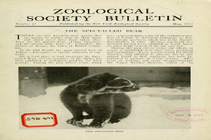 Schwarzes und weißes Foto eines Raccoons auf dem Cover einer zoologischen Gesellschaftszeitschrift mit Text.