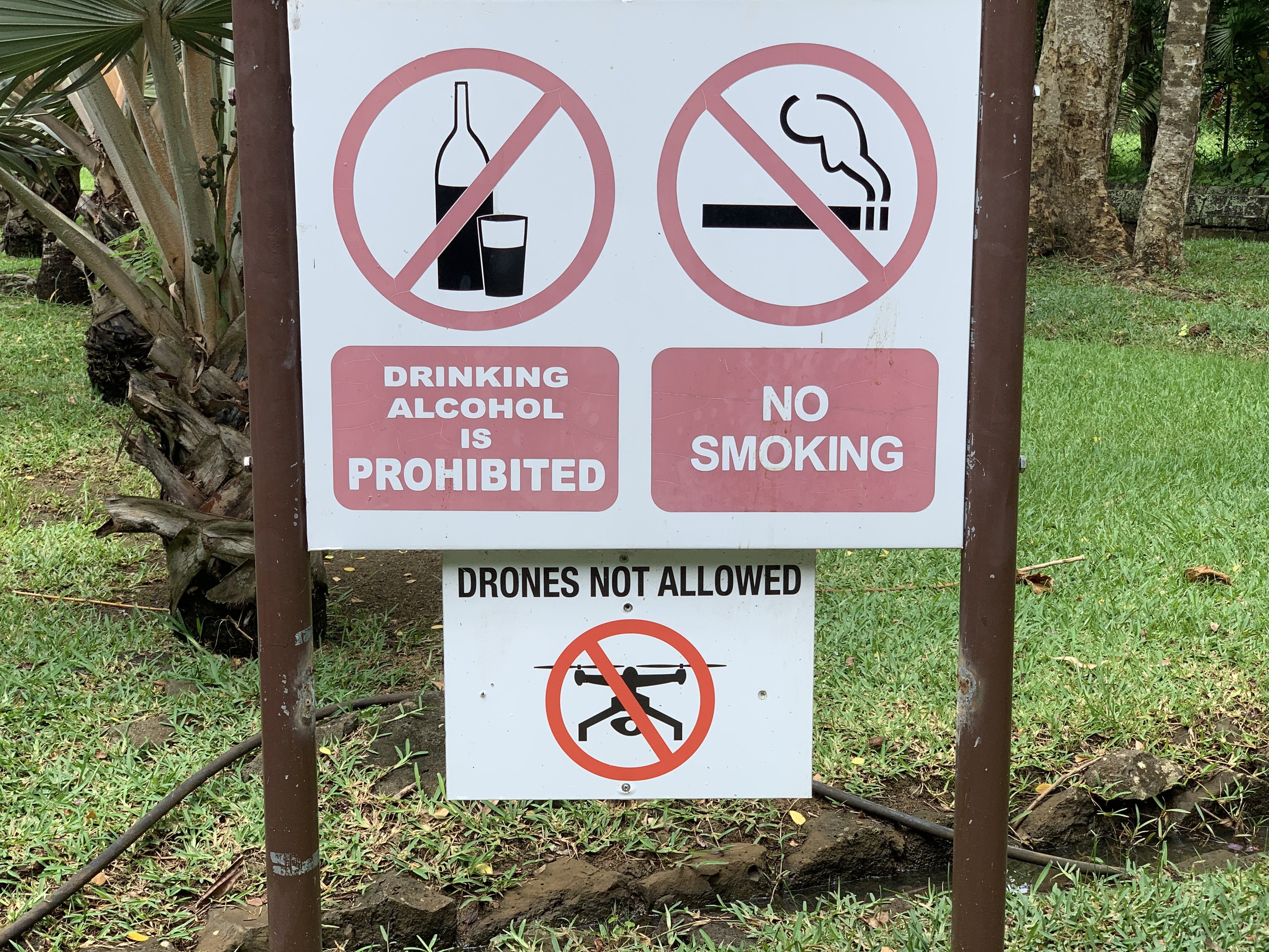 Straßenschilder verbieten Alkoholkonsum und Rauchen, mit Bäumen und Gras im Hintergrund.