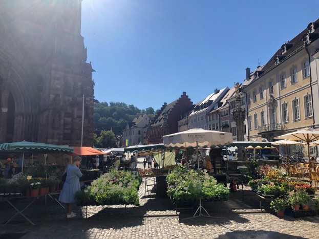 Ein belebter Markt im alten Stadtzentrum von Heidelberg, Deutschland, mit Menschen an Tischen sitzend und stehend, die Blumentöpfe und Schirme halten, vor Gebäuden, Bäumen und einem klaren blauen Himmel.